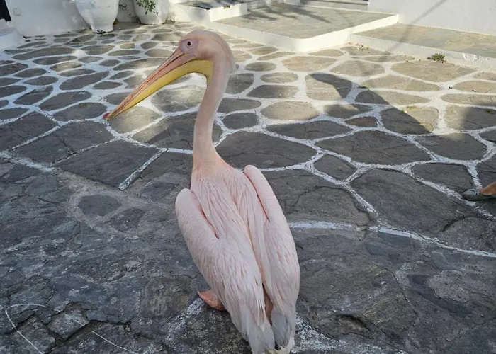 Διαμέρισμα Onyx